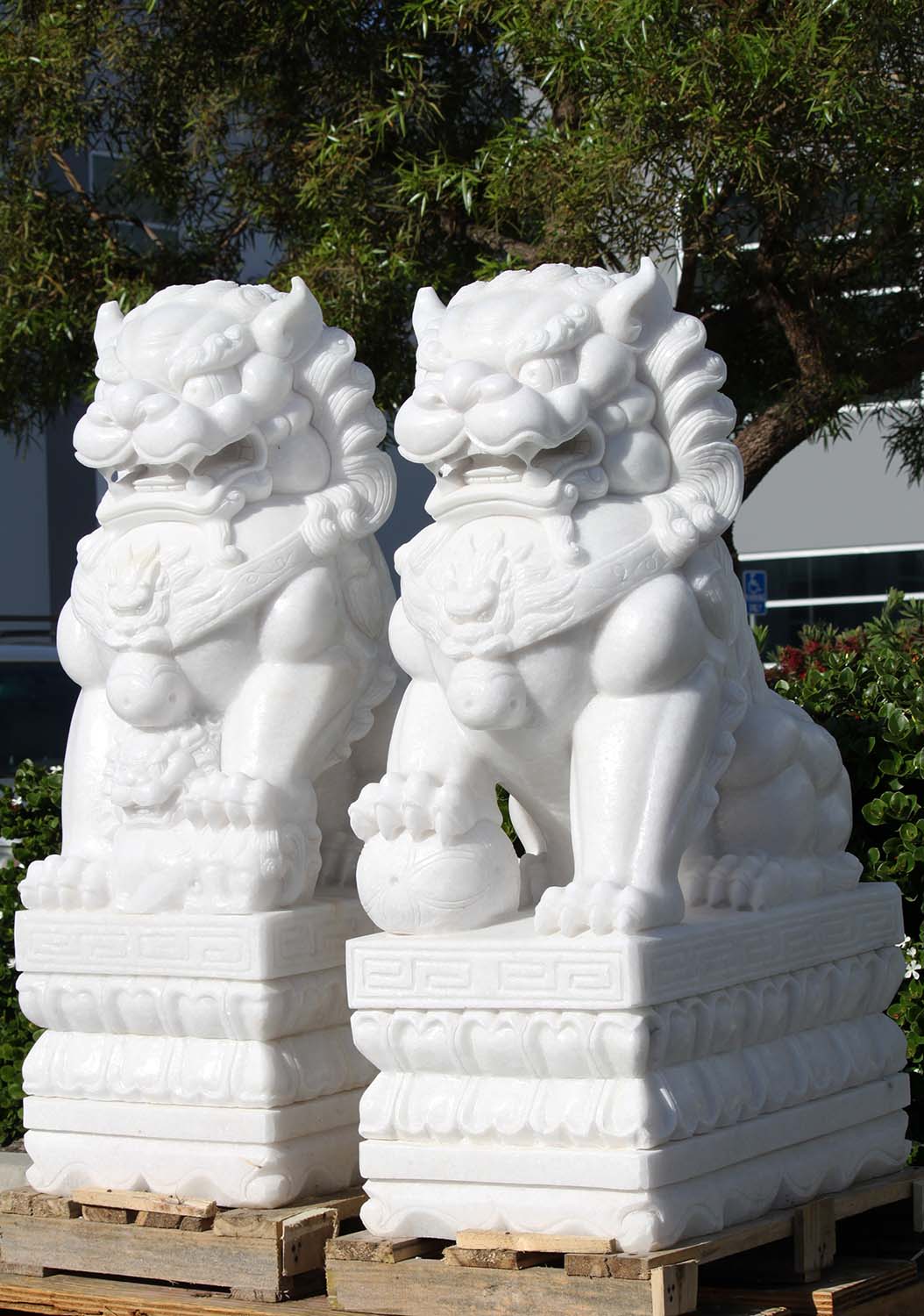 DO YOU CARRY ABOUT A 36 INCH HEIGHT MARBLE FOO DOG