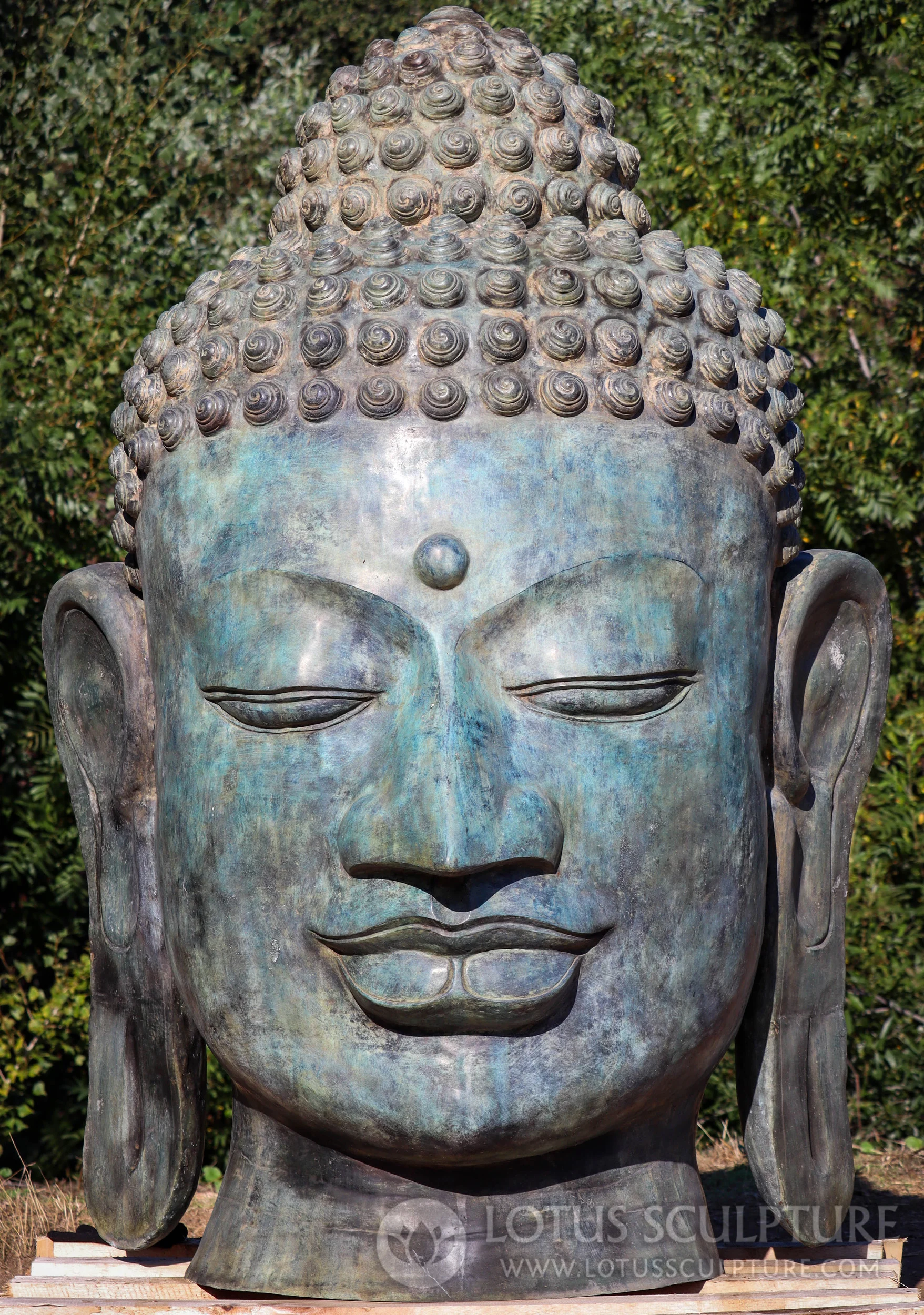 Buddha Head Statue Large Brass with Curly Seashell Shaped Hair & Third Eye 80" Questions & Answers