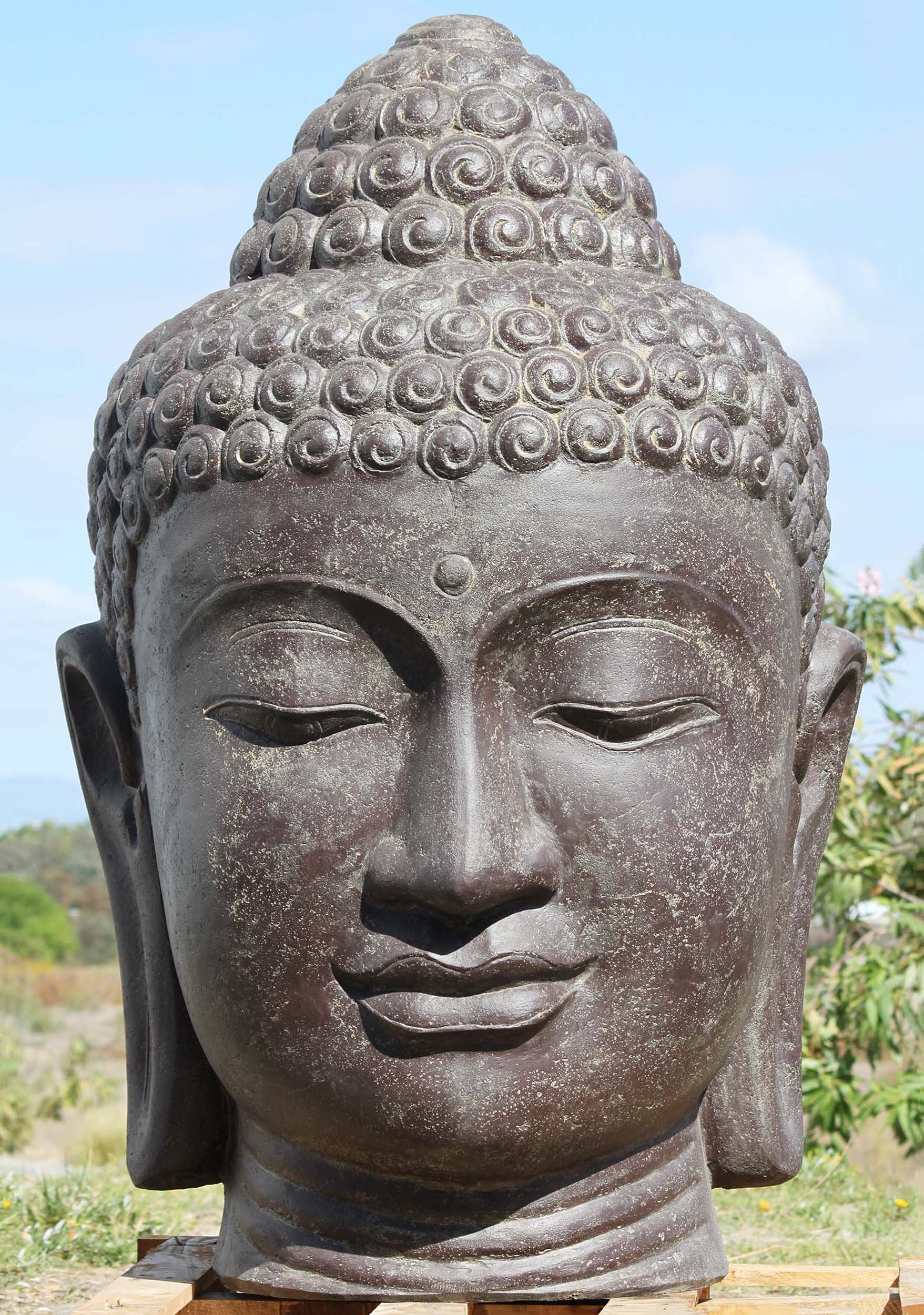 5 Foot Buddha Head Fountain Statue Perfect Large Water Feature for Garden 59" Questions & Answers